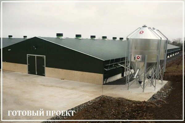 Этапы возведения птицефабрики от завода ВелесТент-нбр